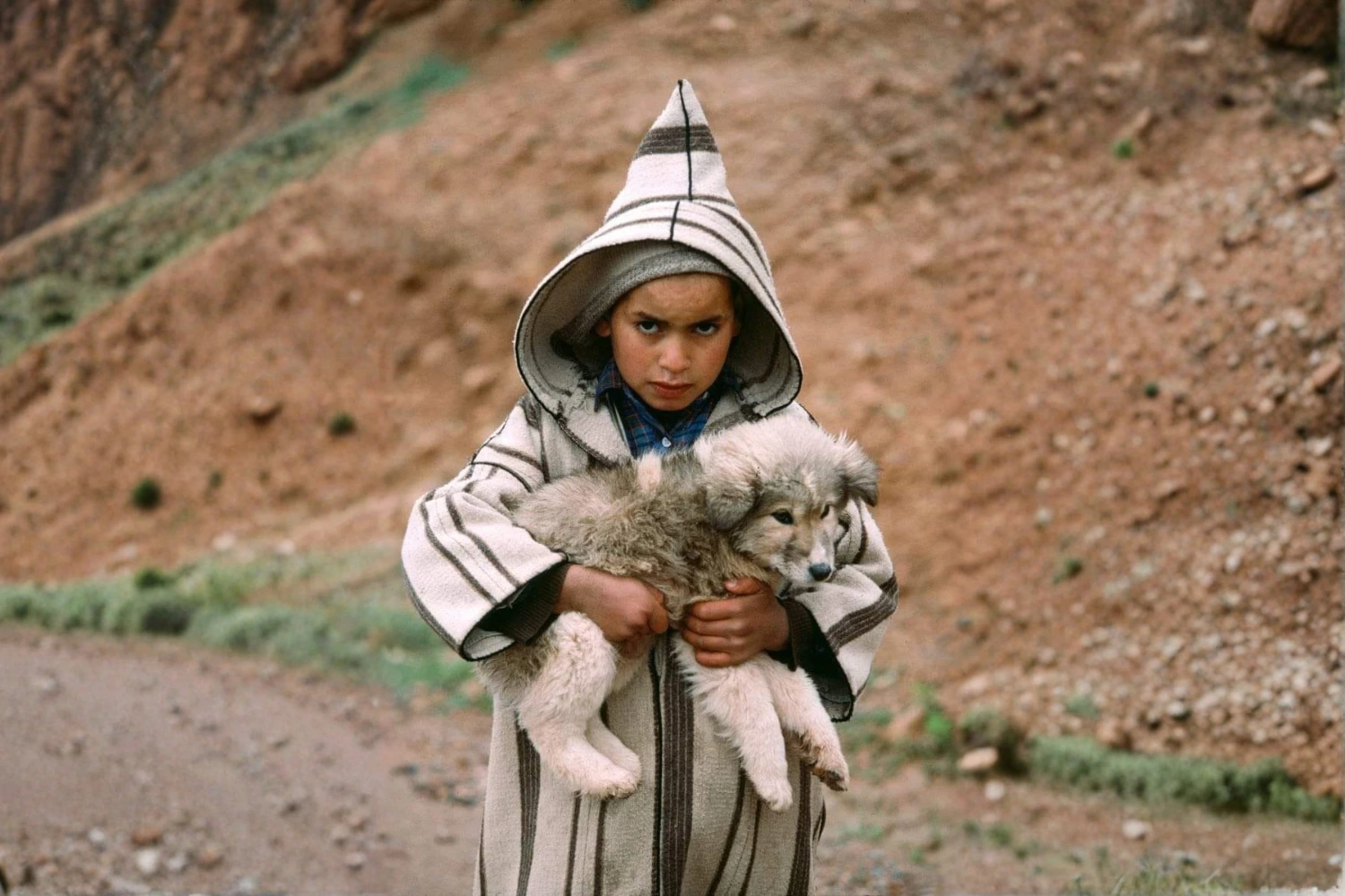 A young Amazigh boy carrying an Aidi puppy in the Atlas Mountains