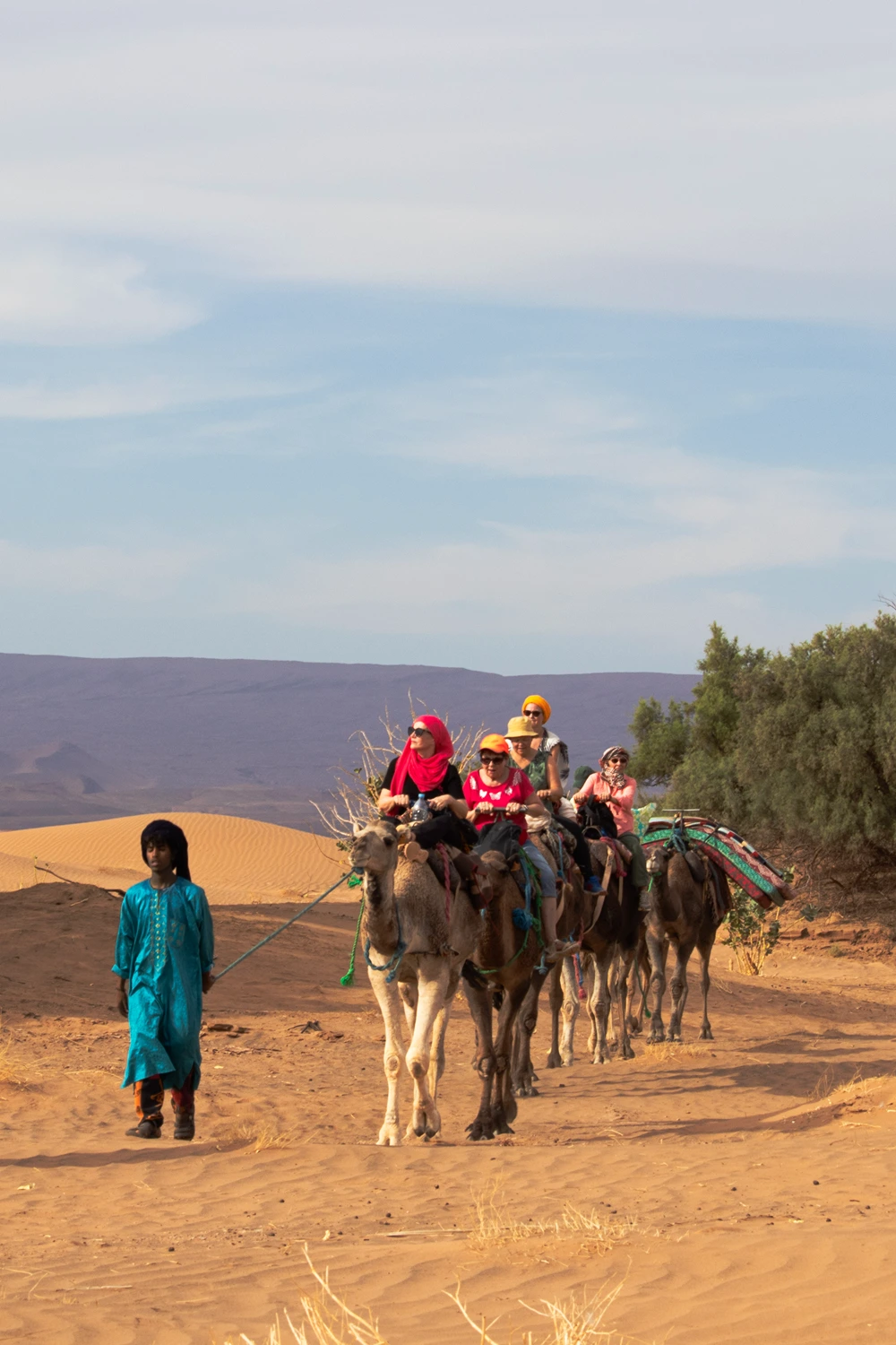 Family Camel Trekking Experience Morocco Sahara