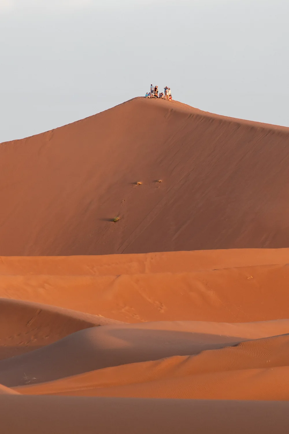 Group of travelers gathered atop a towering dune peak in the Sahara Desert