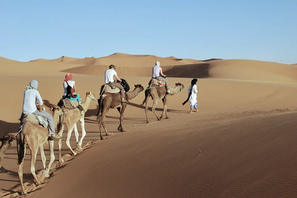 a camel caravan in the sahara desert